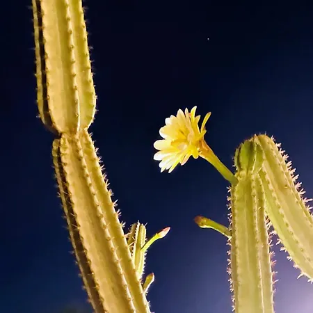 Sicels - Agnone - Syracuse *