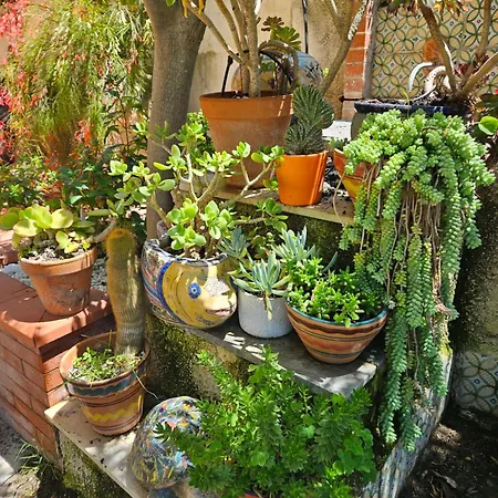 Sicels - Agnone - Syracuse Villa