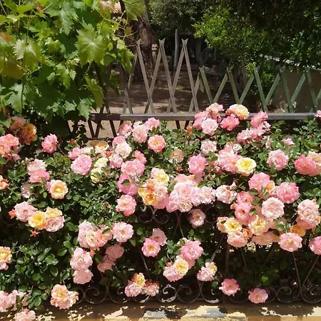 Sicels - Agnone - Syracuse Villa Agnone Bagni